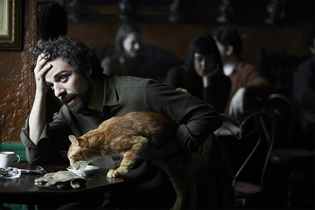 insidellewyndavis